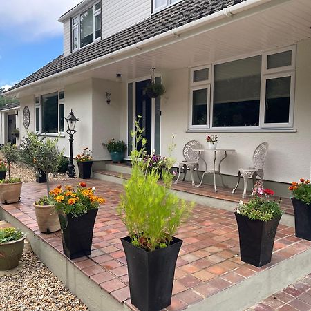 Woodland House B & B Wimborne Minster Εξωτερικό φωτογραφία