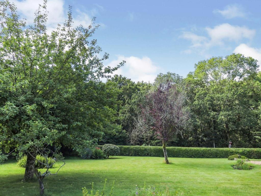 Woodland House B & B Wimborne Minster Εξωτερικό φωτογραφία