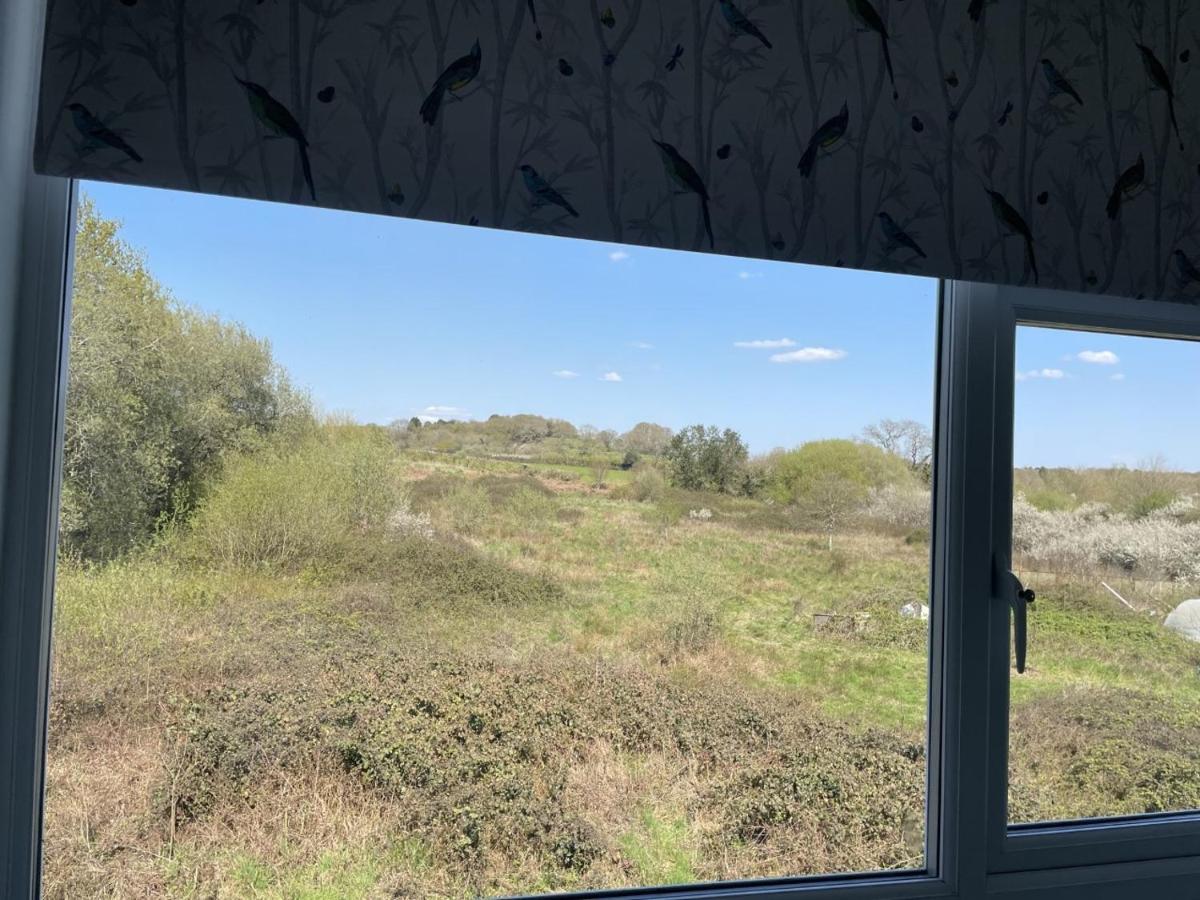 Woodland House B & B Wimborne Minster Εξωτερικό φωτογραφία