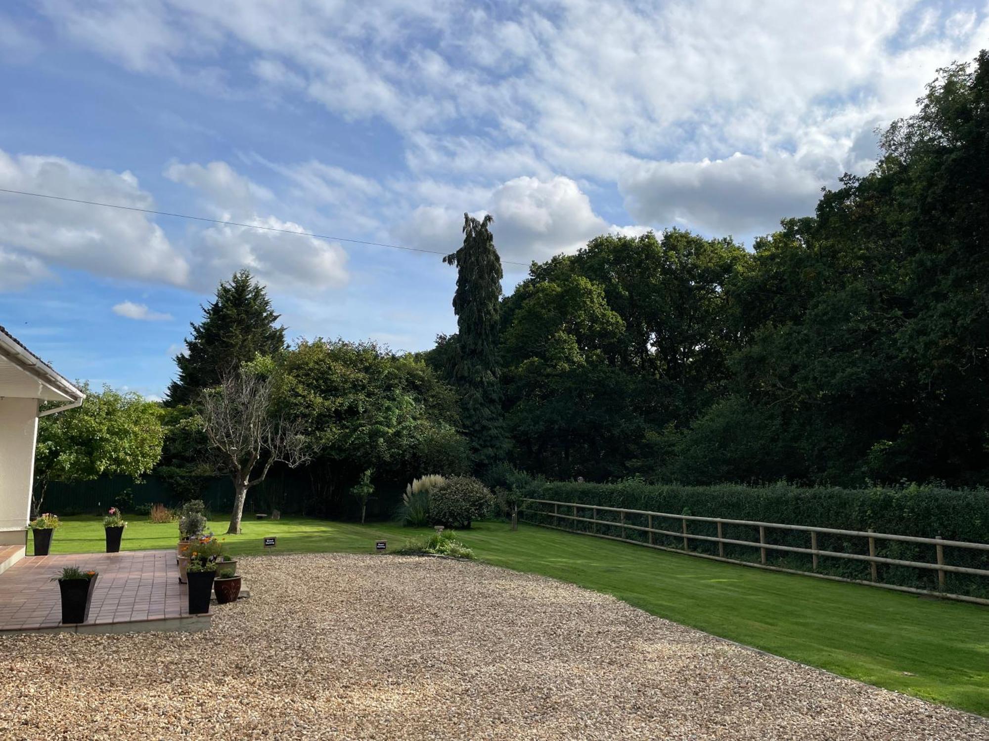 Woodland House B & B Wimborne Minster Εξωτερικό φωτογραφία