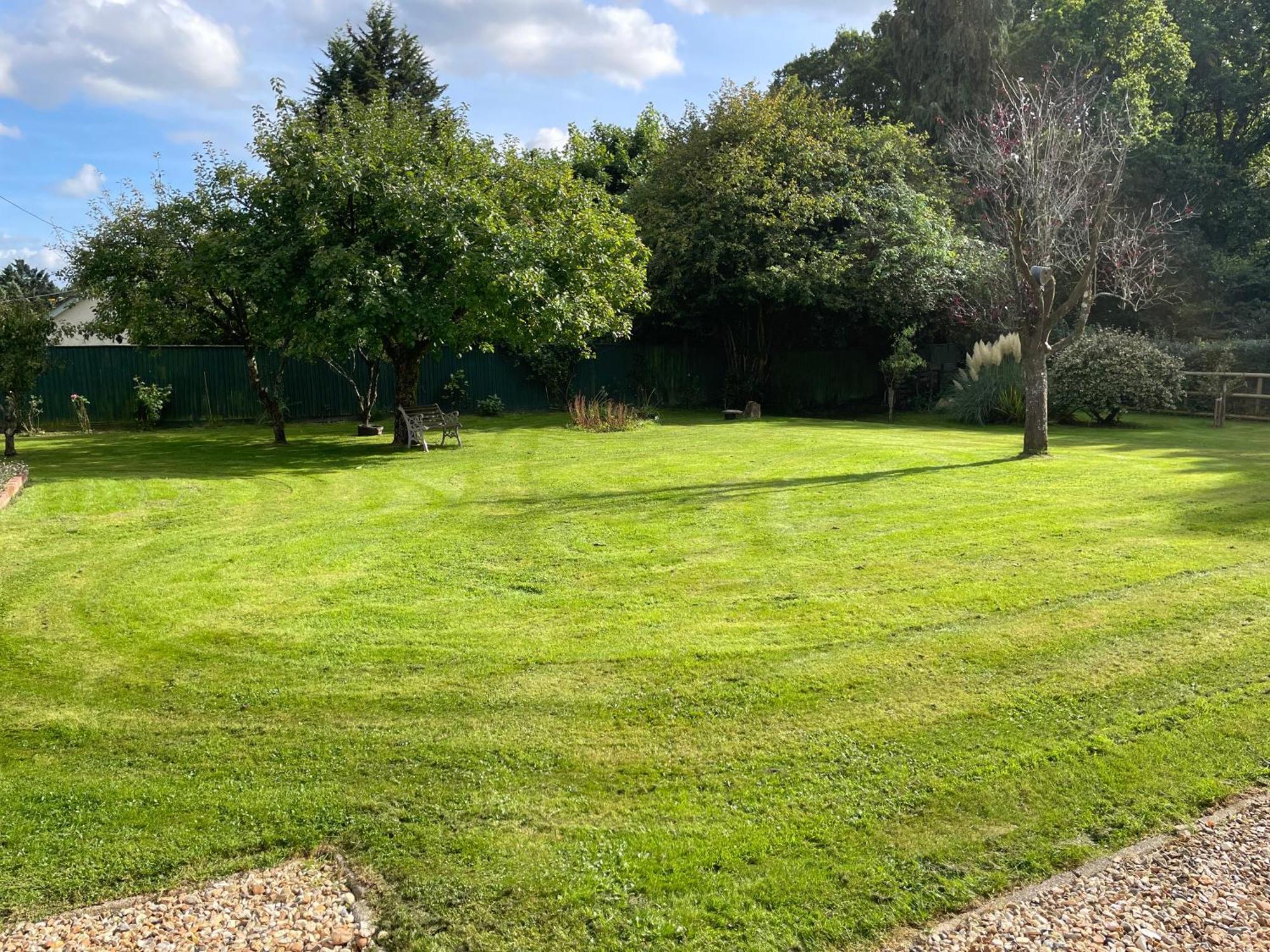 Woodland House B & B Wimborne Minster Εξωτερικό φωτογραφία
